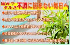 関整体術院
